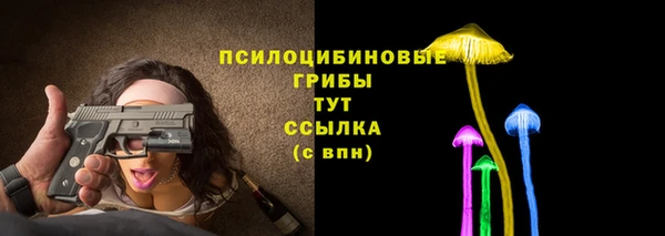 крисы Верхнеуральск