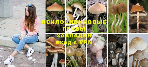 крисы Верхнеуральск