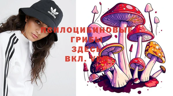 крисы Верхнеуральск
